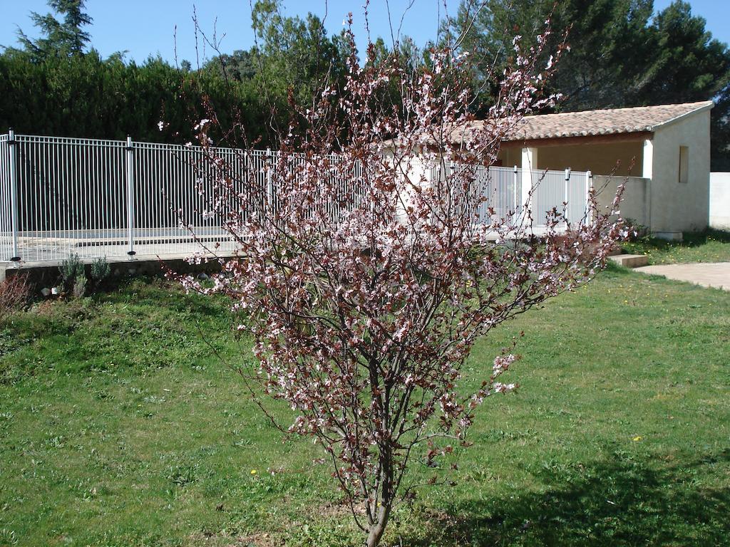 B&B L'Oustalet De Sylvie Villeneuve-les-Avignon Luaran gambar